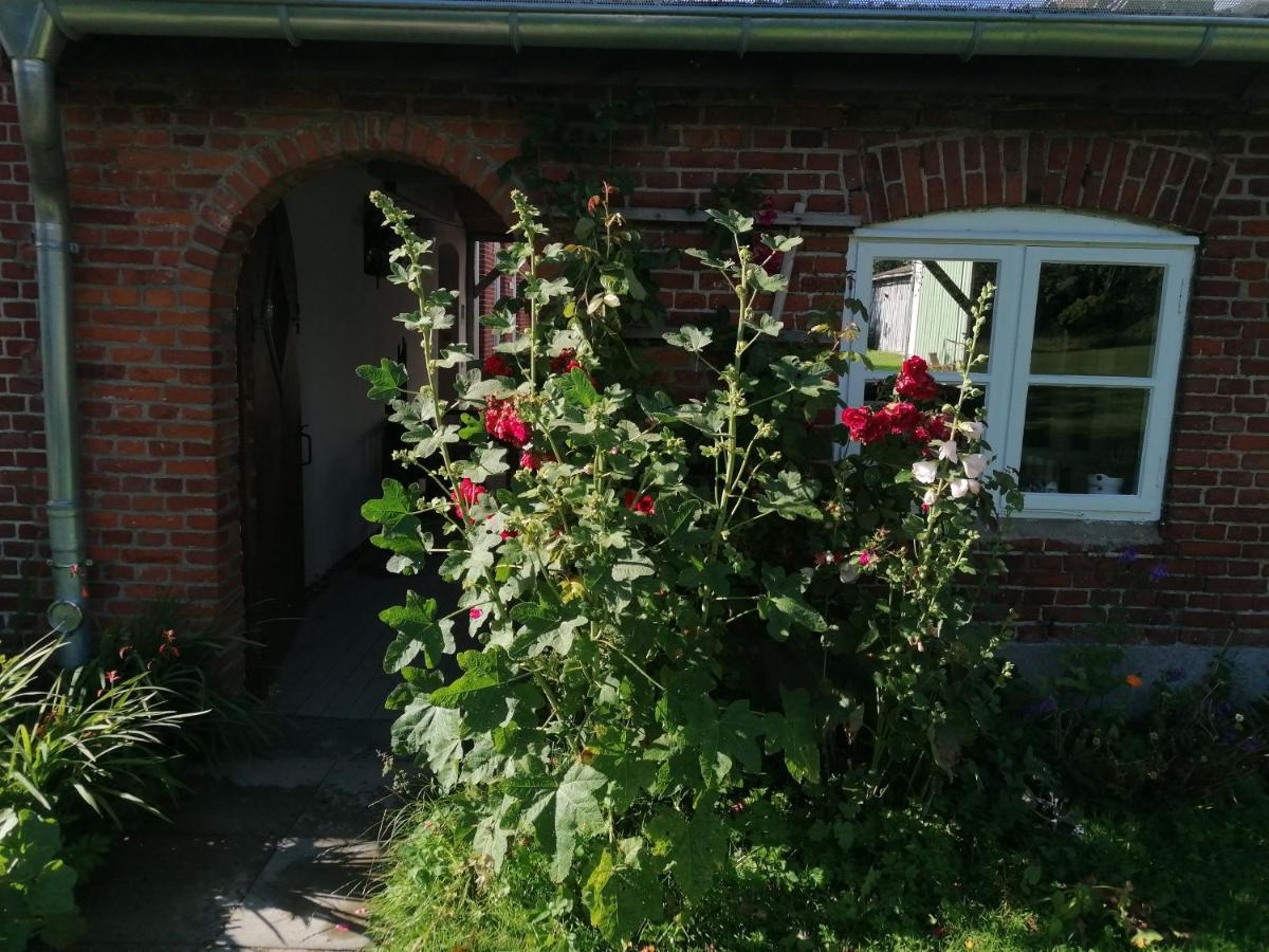 Apartamento Fw Achterdeck, 1 Obergeschoss, Petershof-Lehbek Gelting Exterior foto